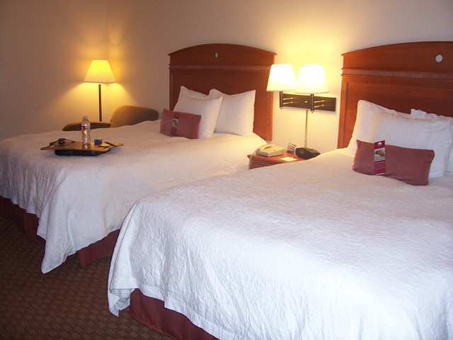 Hampton Inn Брукгейвен Номер фото